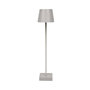 Voir la diapositive 2 : Paris Prix Lampe à Poser Tactile  Rechargeable  45cm Taupe