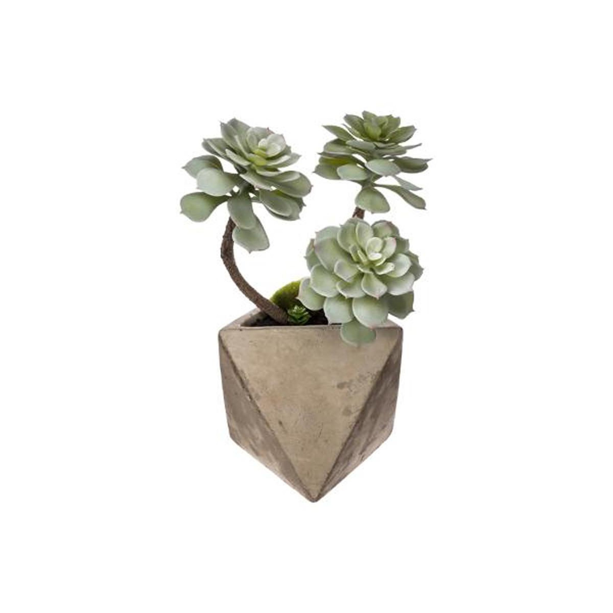 ATMOSPHERA Plante grasse artificielle  geom  30cm naturel
