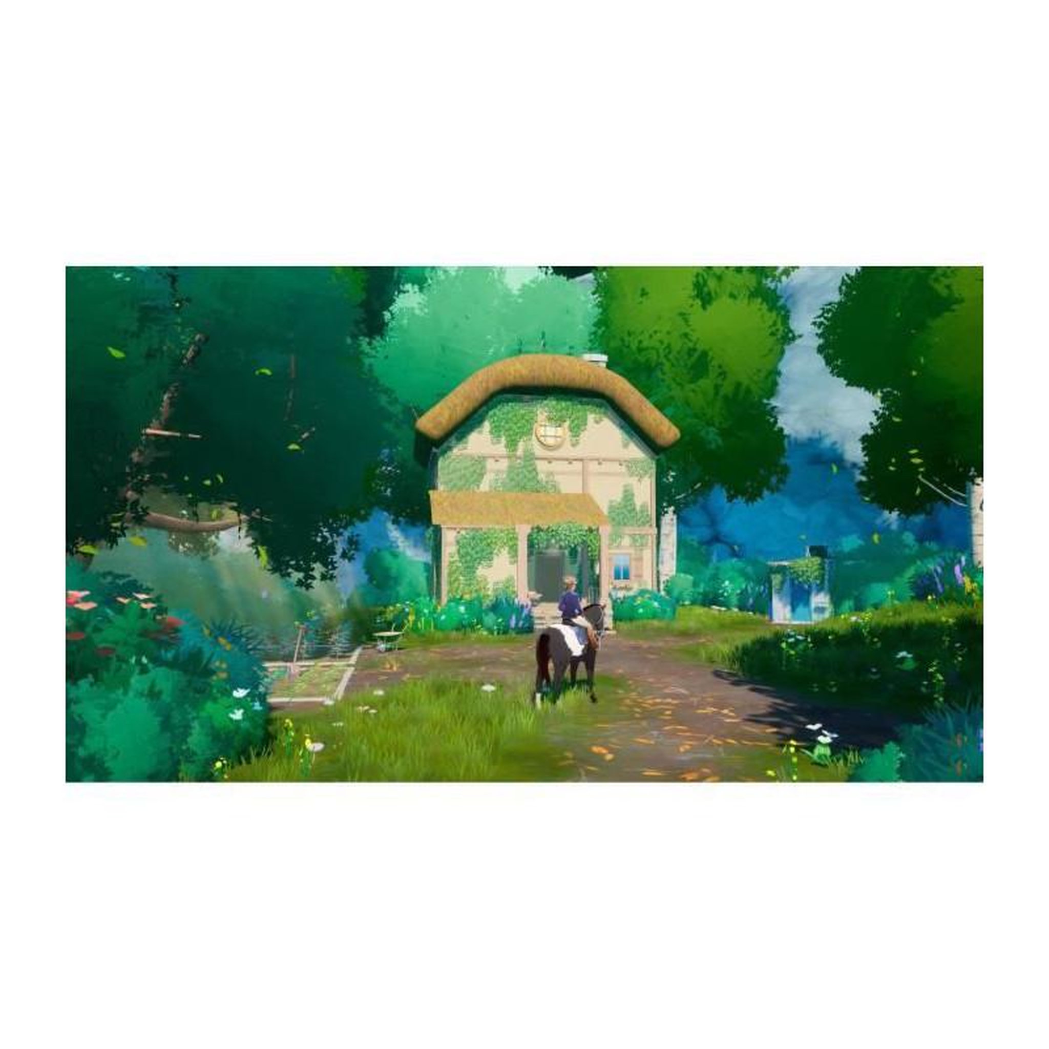 Voir la diapositive 6 : MICROIDS HORSE TALES - La Vallée d'Emeraude Limited Edition PS5