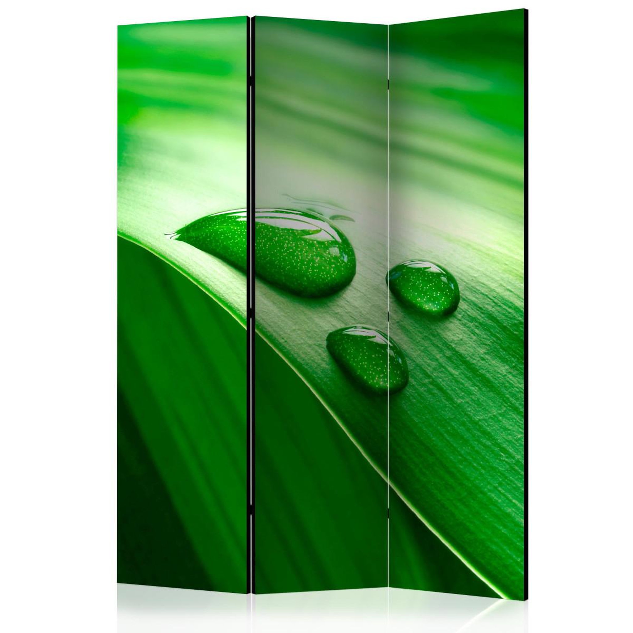 Paris Prix Paravent 3 volets  leaf & three drops of water  135x172cm