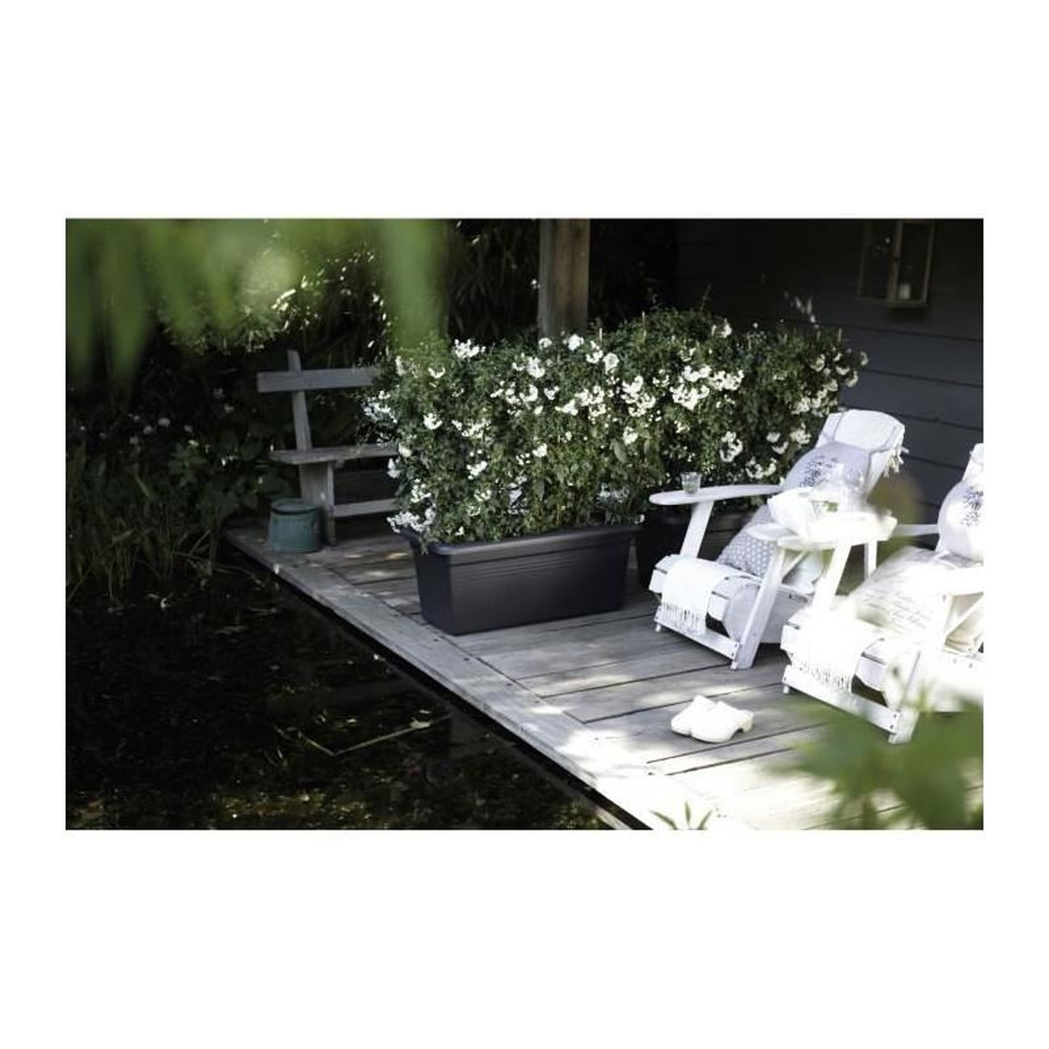 Voir la diapositive 3 : ELHO ELHO Jardiniere Green Basics 60 - Vivre noir - Exterieur - XXL - L 29,5 x W 59,2 x H 27,7 cm