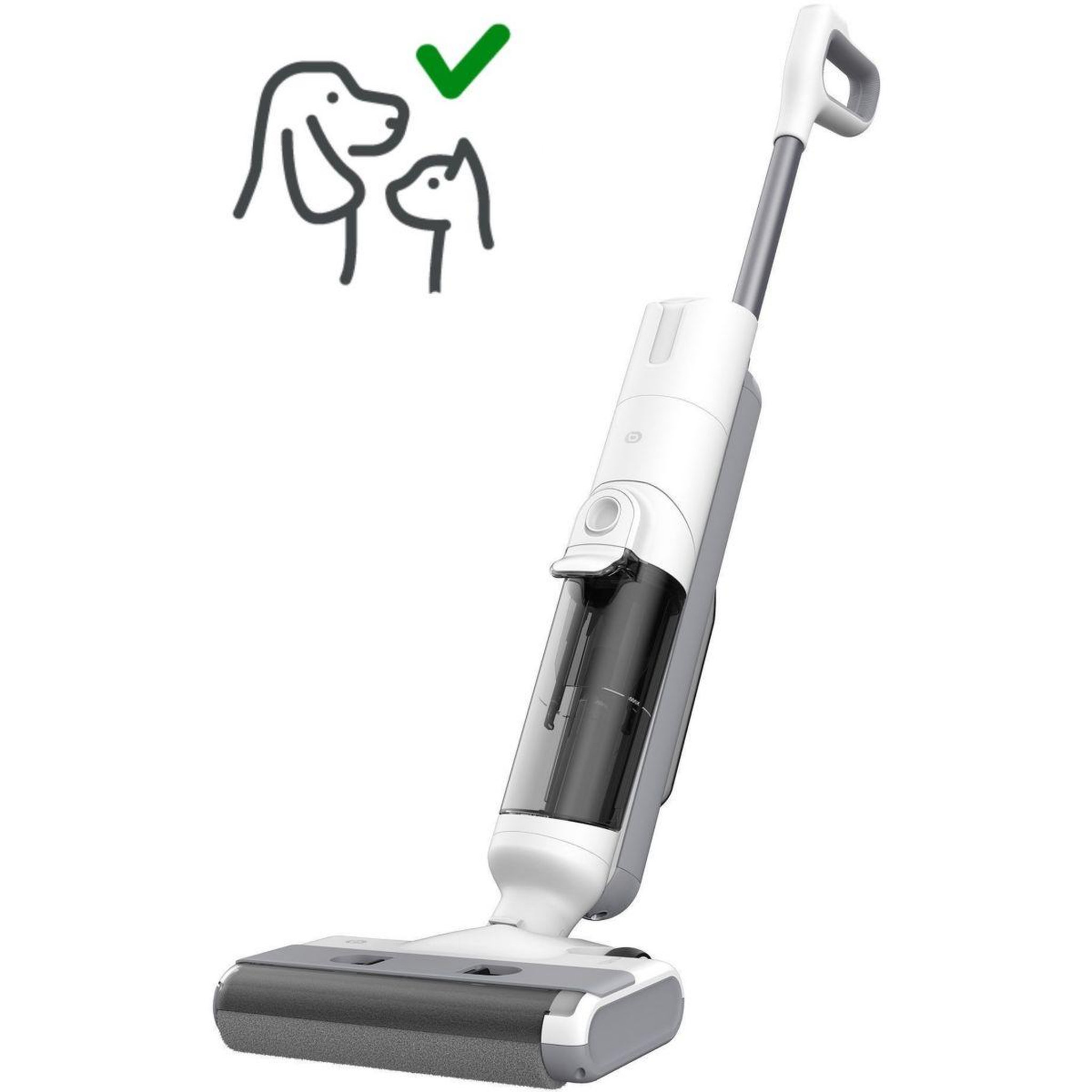 Voir la diapositive 2 : ESSENTIEL B Aspirateur laveur ecfwvc100