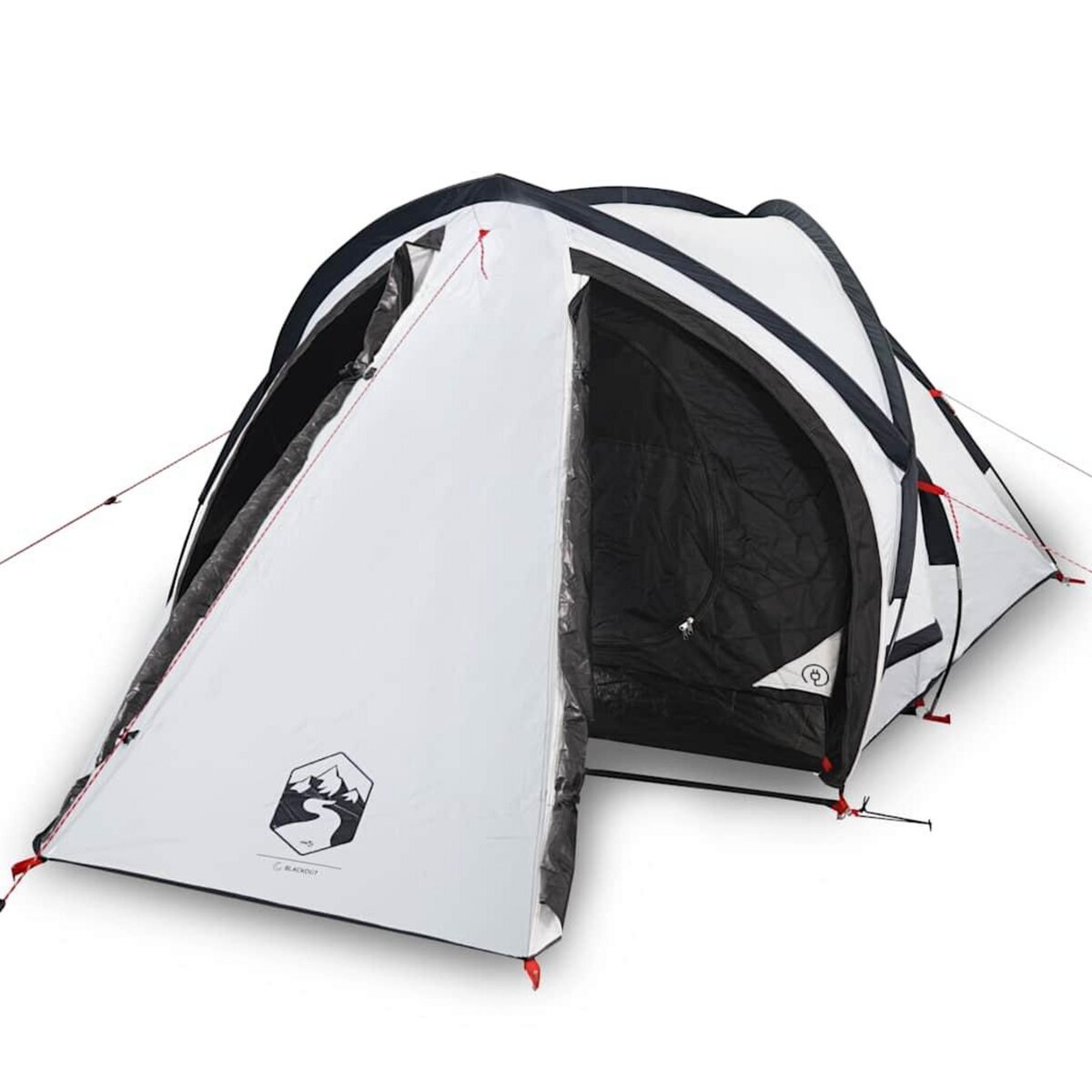 VIDAXL Tente de camping a dome 2 personnes tissu occultant impermeable