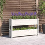 Voir la diapositive 1 : VIDAXL Jardiniere Blanc 112x25x66 cm Bois massif de pin
