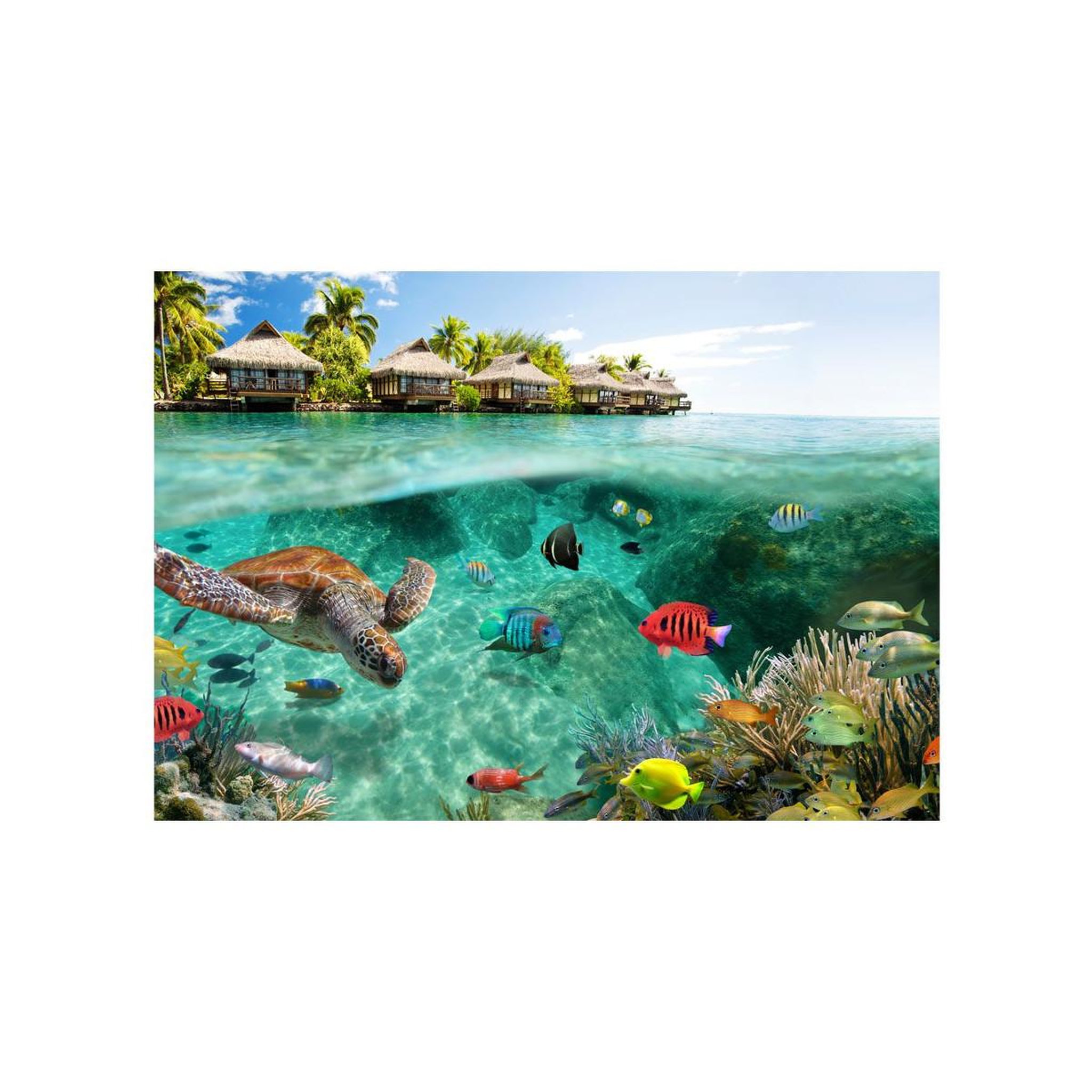 Voir la diapositive 2 : Paris Prix Papier Peint  Under the Surface of Water
