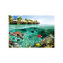 Voir la diapositive 2 : Paris Prix Papier Peint  Under the Surface of Water