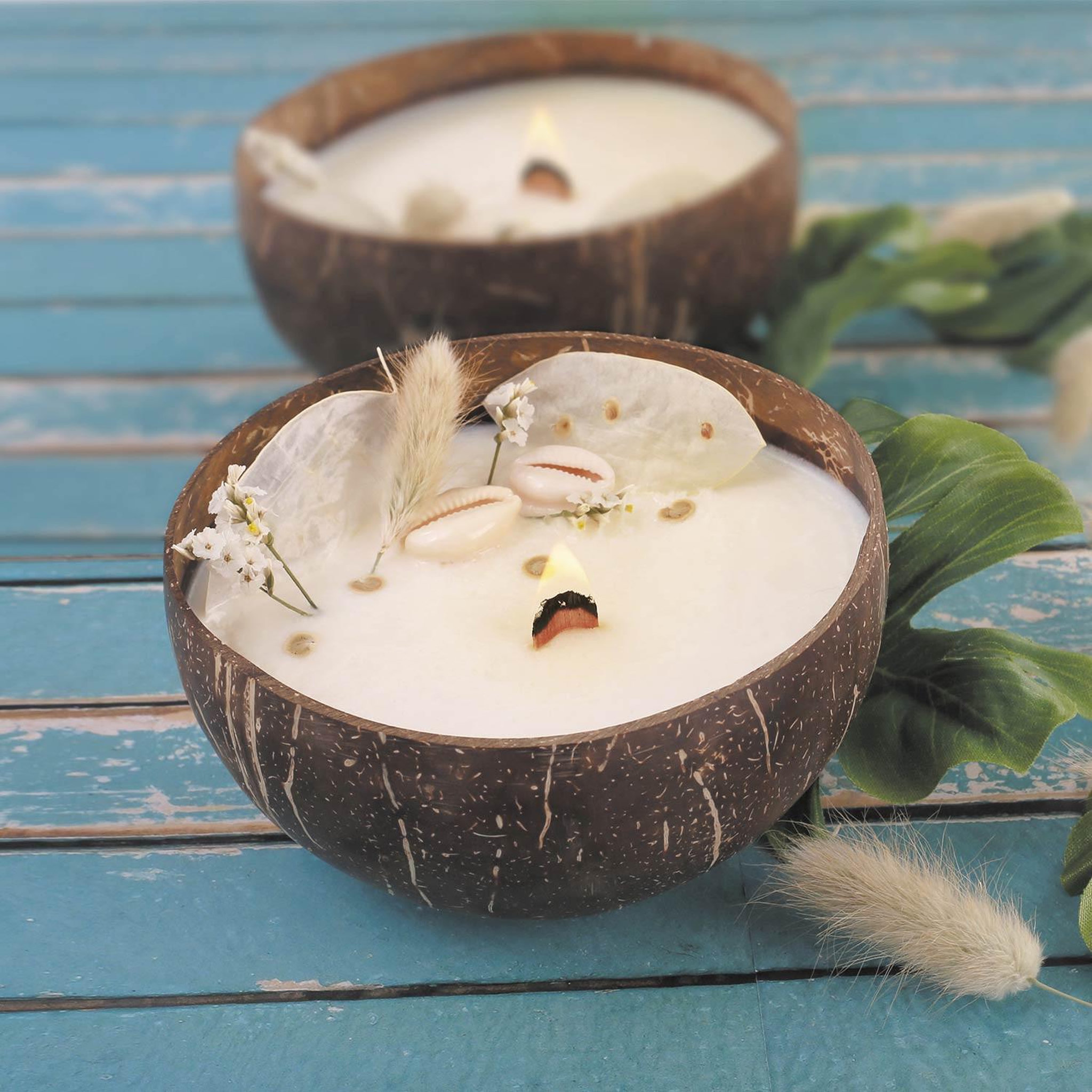 Voir la diapositive 3 : Graine créative Bougie noix de coco à faire soi-même