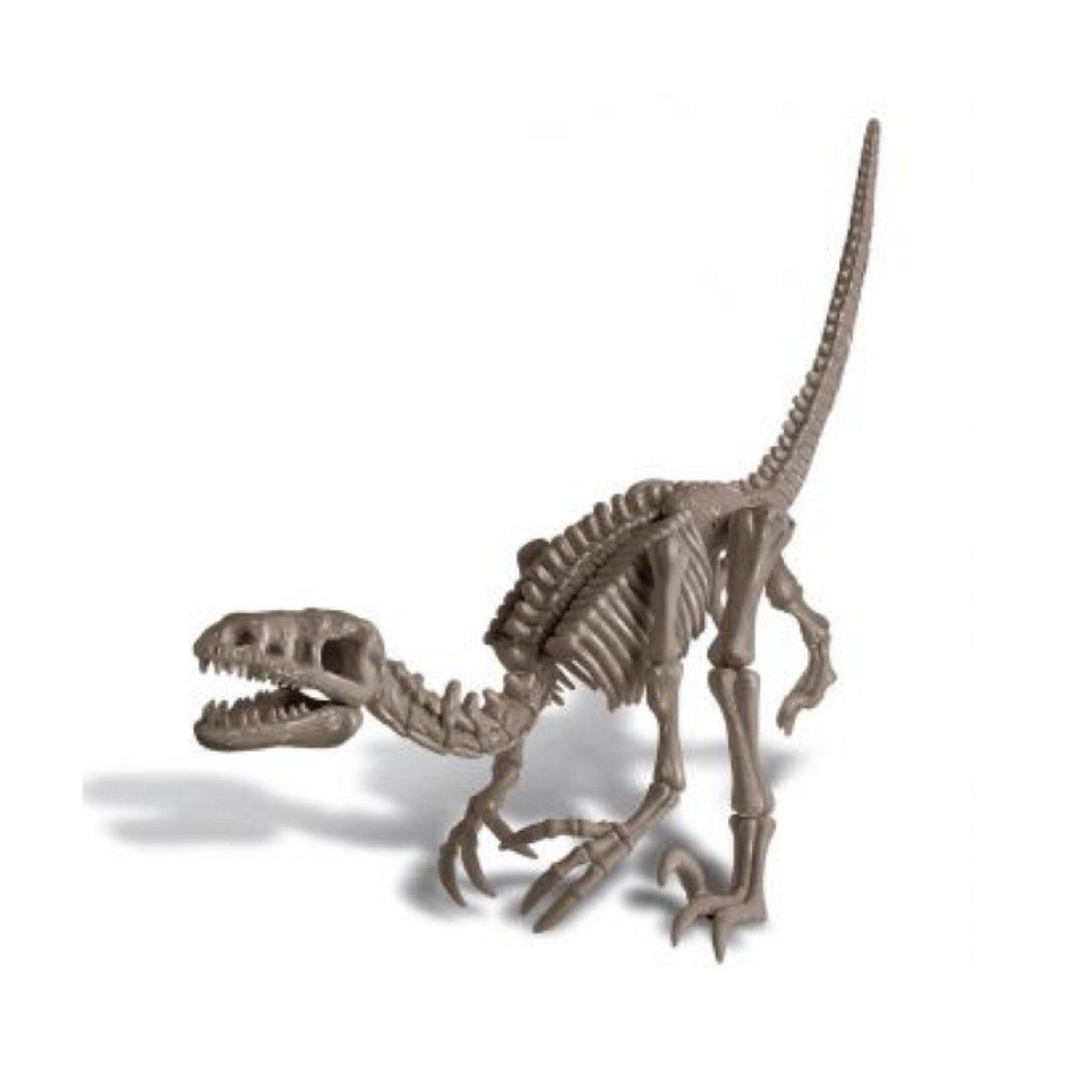Voir la diapositive 2 : DTM Deterre ton dinosaure velociraptor - graine creative