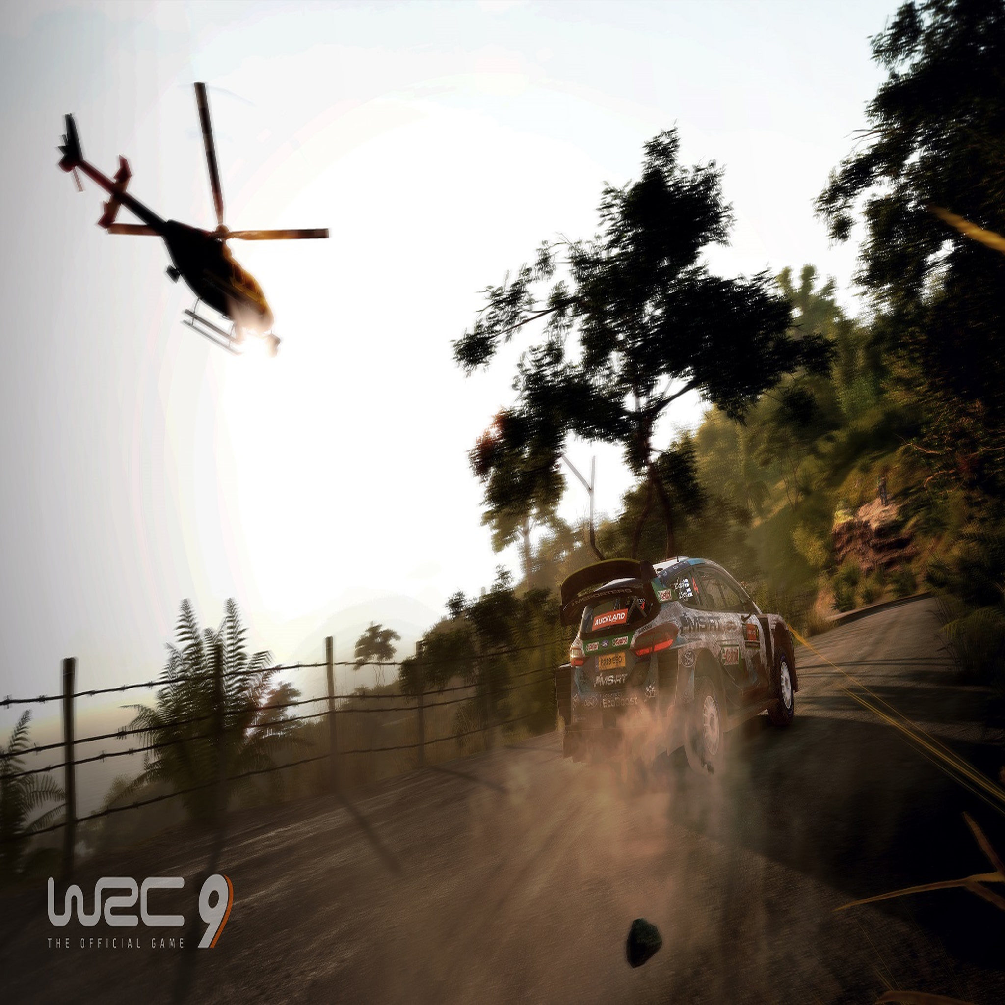 Voir la diapositive 2 : WRC 9 PS4