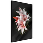 Paris Prix Affiche Murale Encadrée  Pale Pink Lilies. Coloris disponibles : Jaune, Noir
