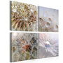Voir la diapositive 1 : Paris Prix Tableau Imprimé  Morning Glow