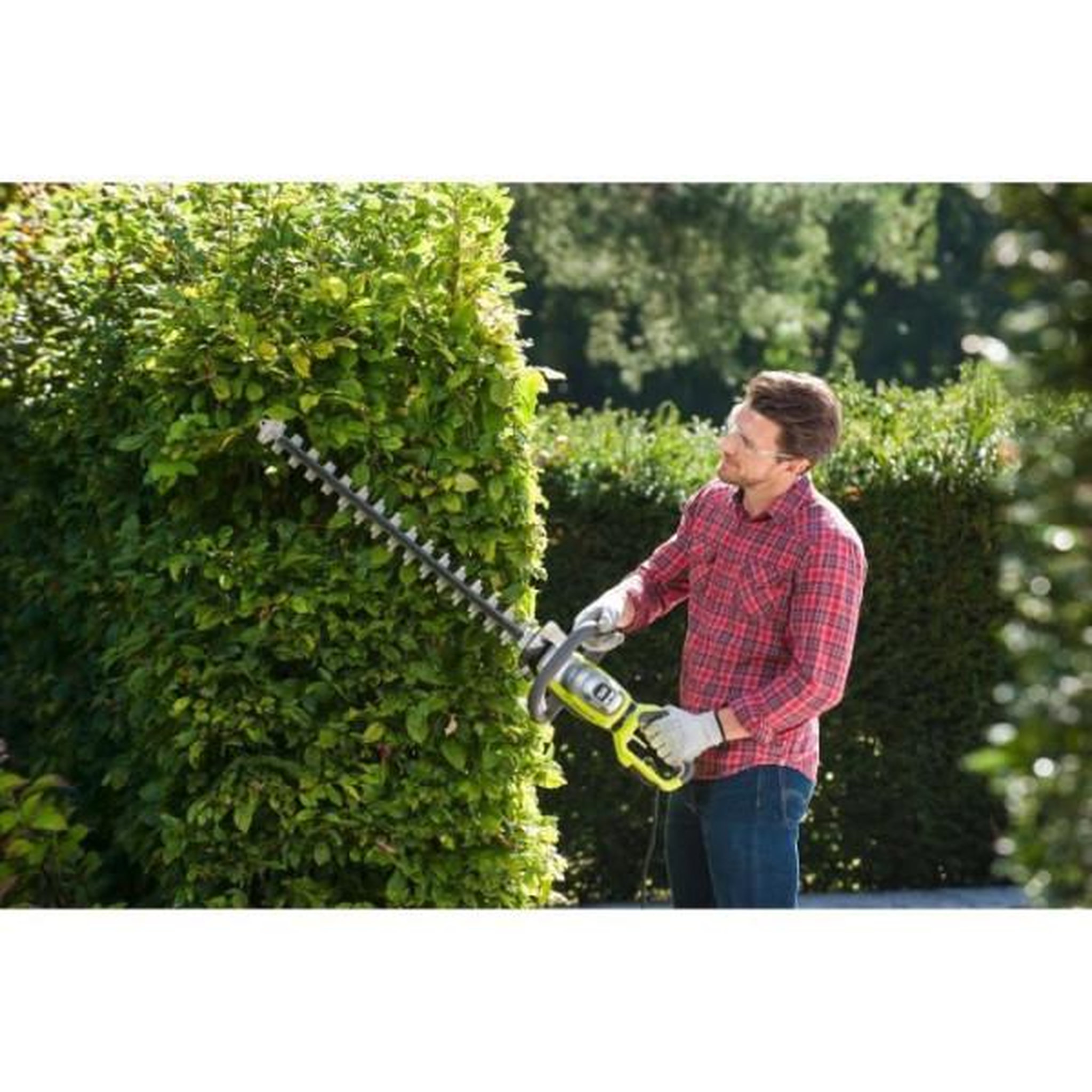 Voir la diapositive 4 : Ryobi Taille-haies électrique filaire 800 W RYOBI RHT8165RL - lames 65 cm - écartement 34 mm - poignée arriere rotative - HedgeSwee