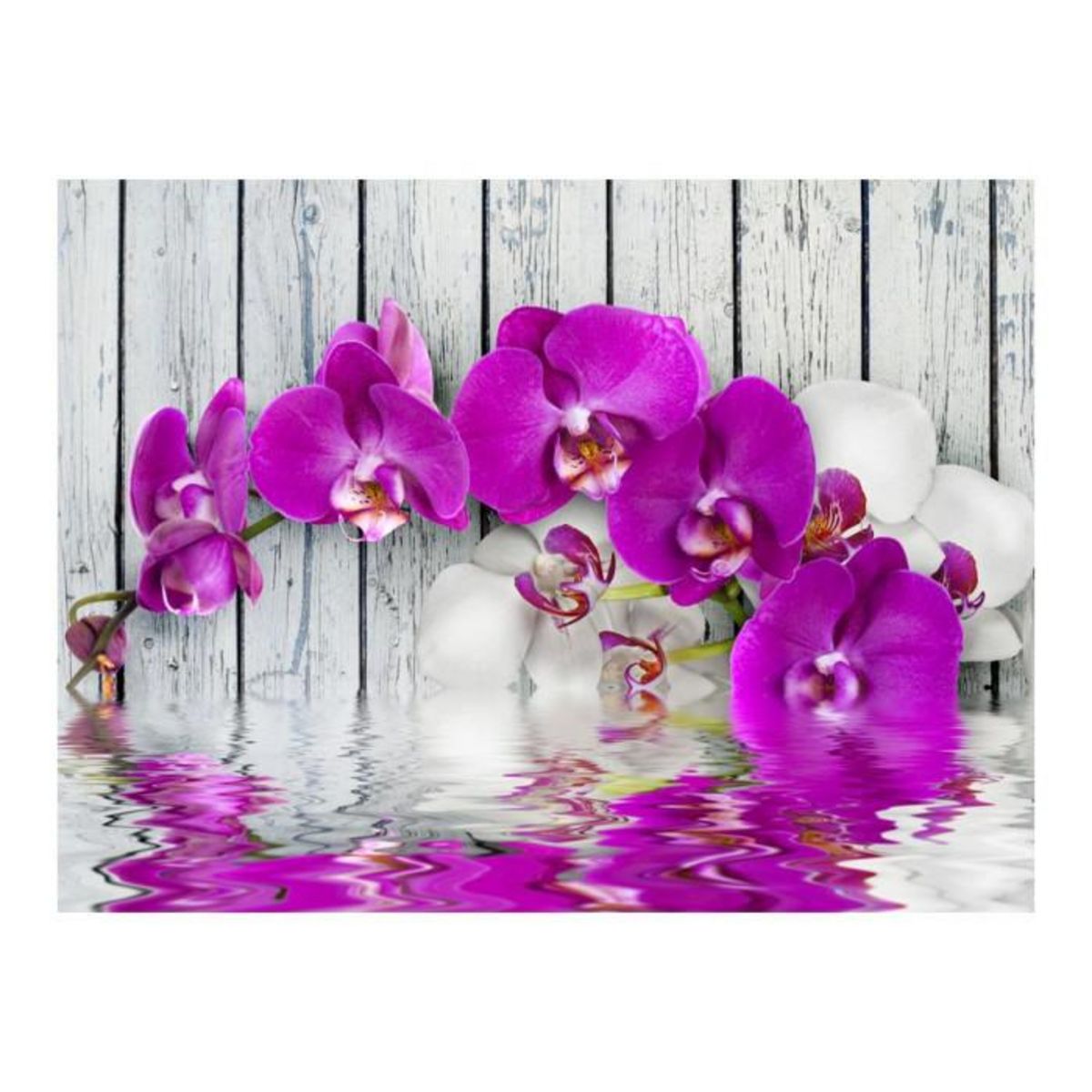 Paris Prix Papier Peint  Violet Orchids with Water Reflexion