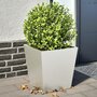 Voir la diapositive 1 : VIDAXL Jardinieres 2 pcs 40x40x40 cm acier inoxydable