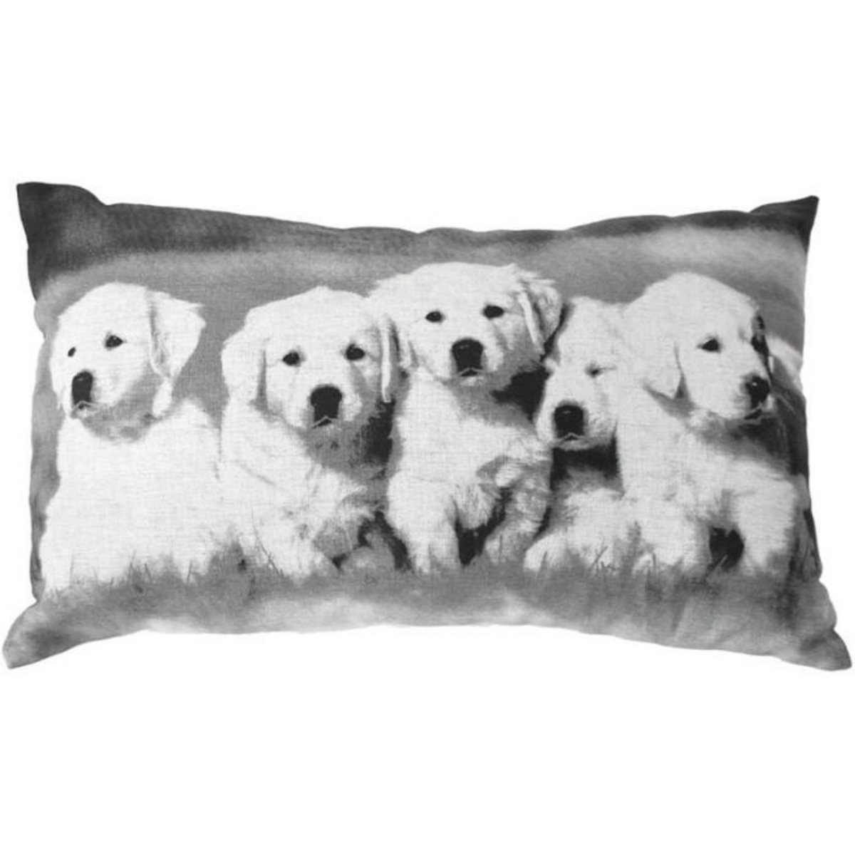 Paris Prix Coussin Déco Chiens  Vickie  30x50cm Noir