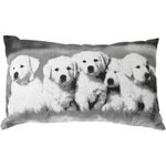 Paris Prix Coussin Déco Chiens  Vickie  30x50cm Noir