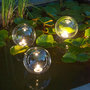 Voir la diapositive 1 : Ubbink Ubbink Boules lumineuses LED MultiBright Float 3 1354008