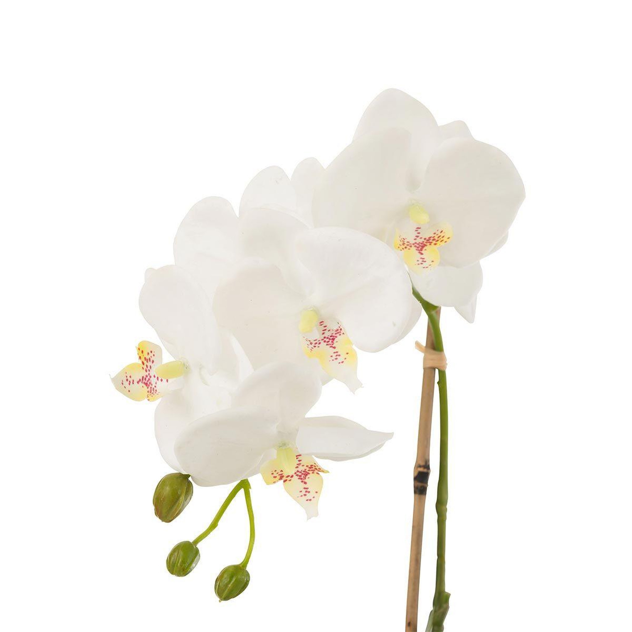 Voir la diapositive 2 : J-LINE Fleur Artificielle Déco  Orchidée en Terre  40cm Blanc