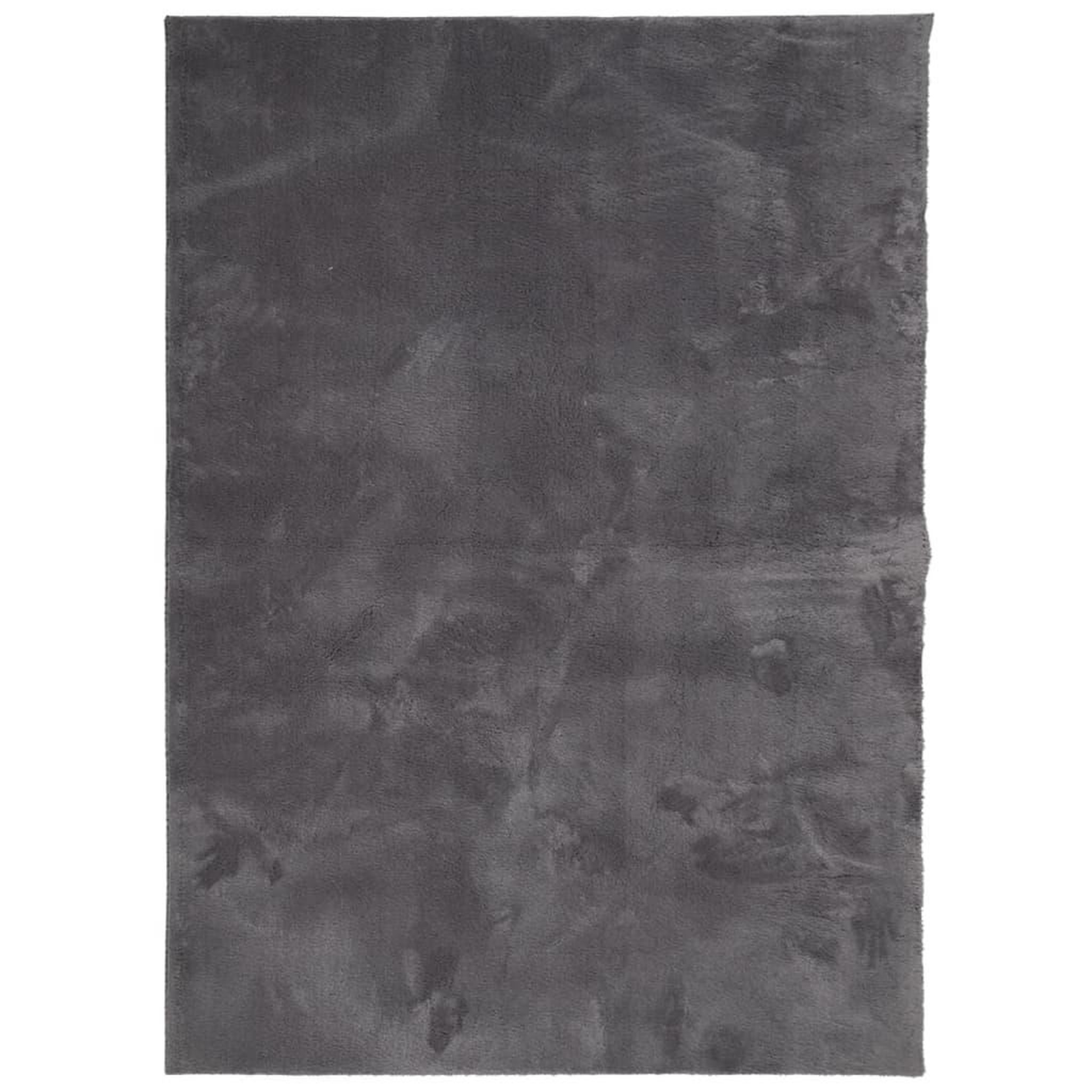 Voir la diapositive 2 : VIDAXL Tapis HUARTE a poils courts doux lavable anthracite 200x280 cm