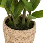  Plante Artificielle en Pot  Zamio  41cm Beige & Vert