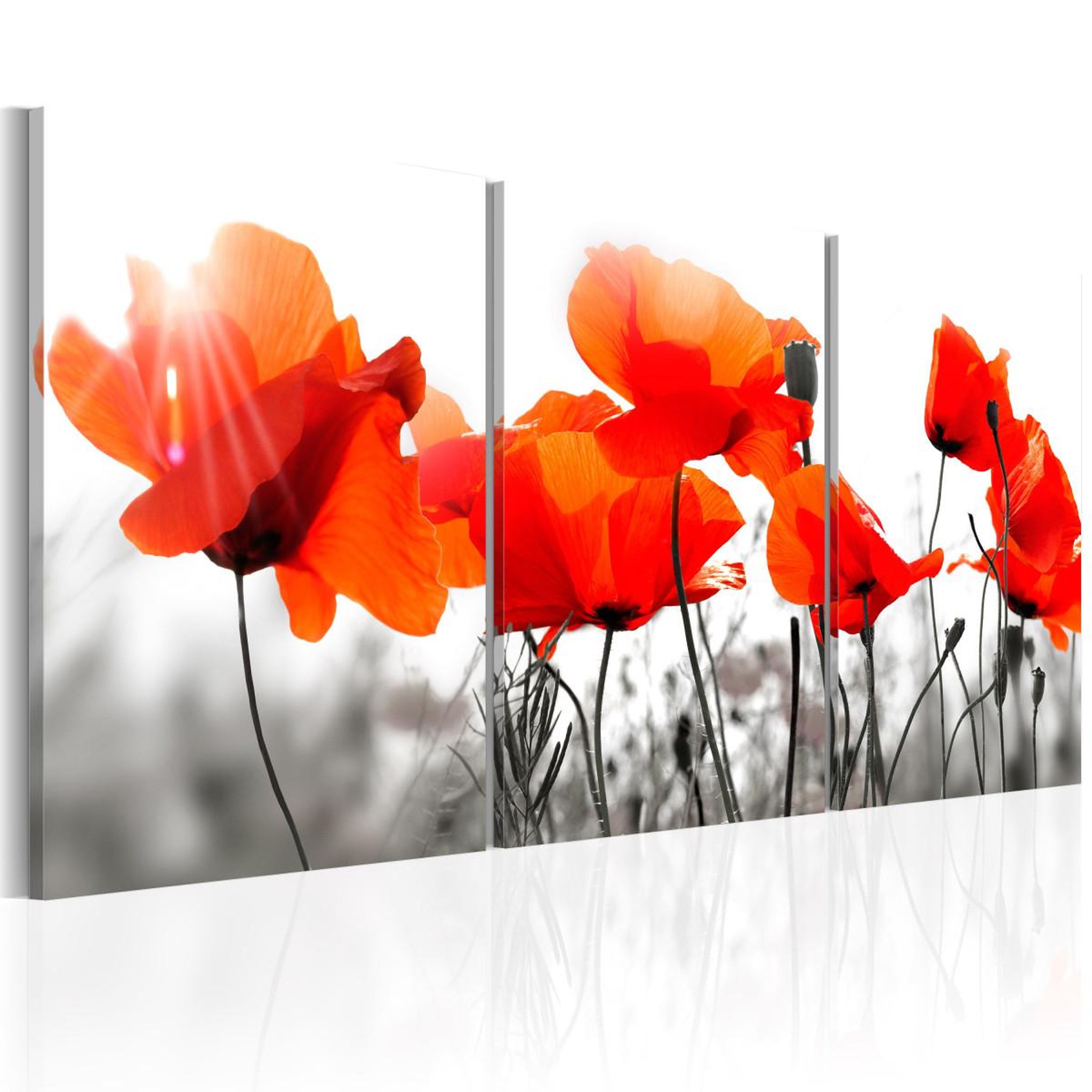 Voir la diapositive 1 : Paris Prix Tableau imprimé  charming poppies