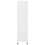 Voir la diapositive 3 : VIDAXL Armoire a casiers Blanc 90x45x180 cm Acier