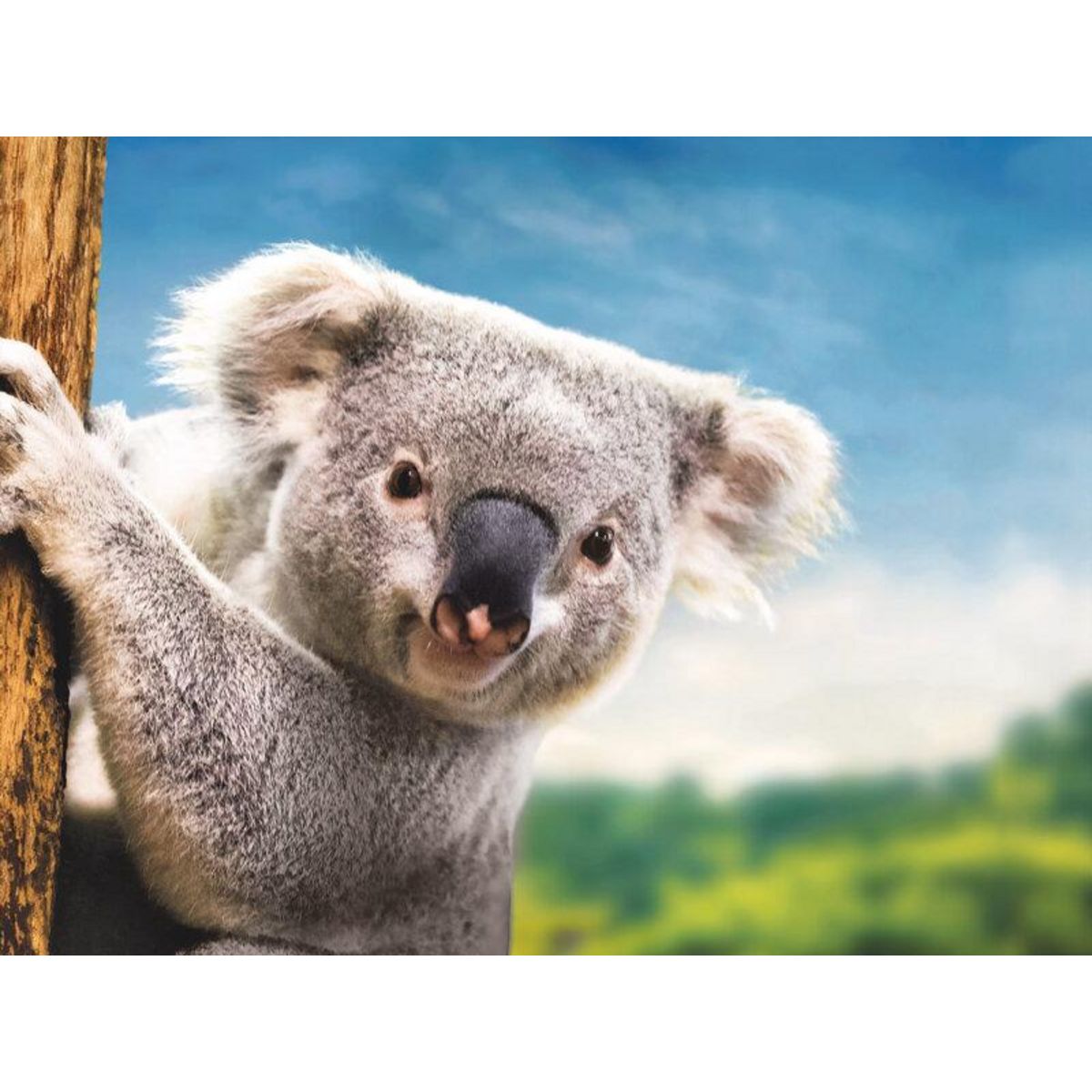 Smartbox Séjour au ZooParc de Beauval en 2025 - Coffret Cadeau Séjour