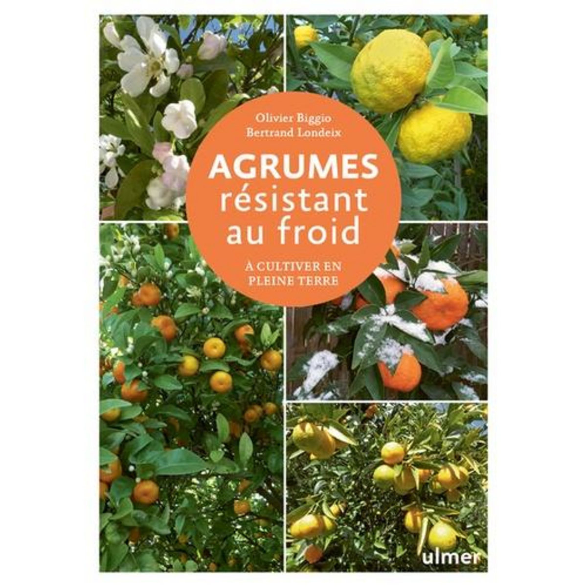 AGRUMES RESISTANT AU FROID. A CULTIVER EN PLEINE TERRE, Biggio Olivier