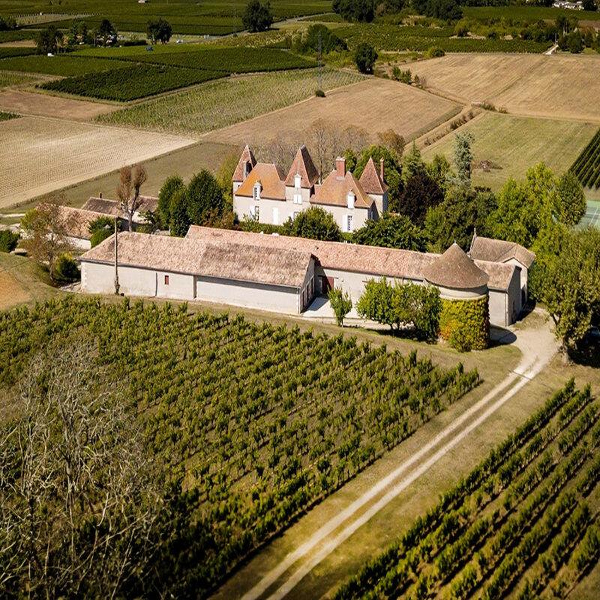Voir la diapositive 4 : Smartbox Livraison de 6 bouteilles de vin chelivette rouge et rosé à domicile - coffret cadeau gastronomie