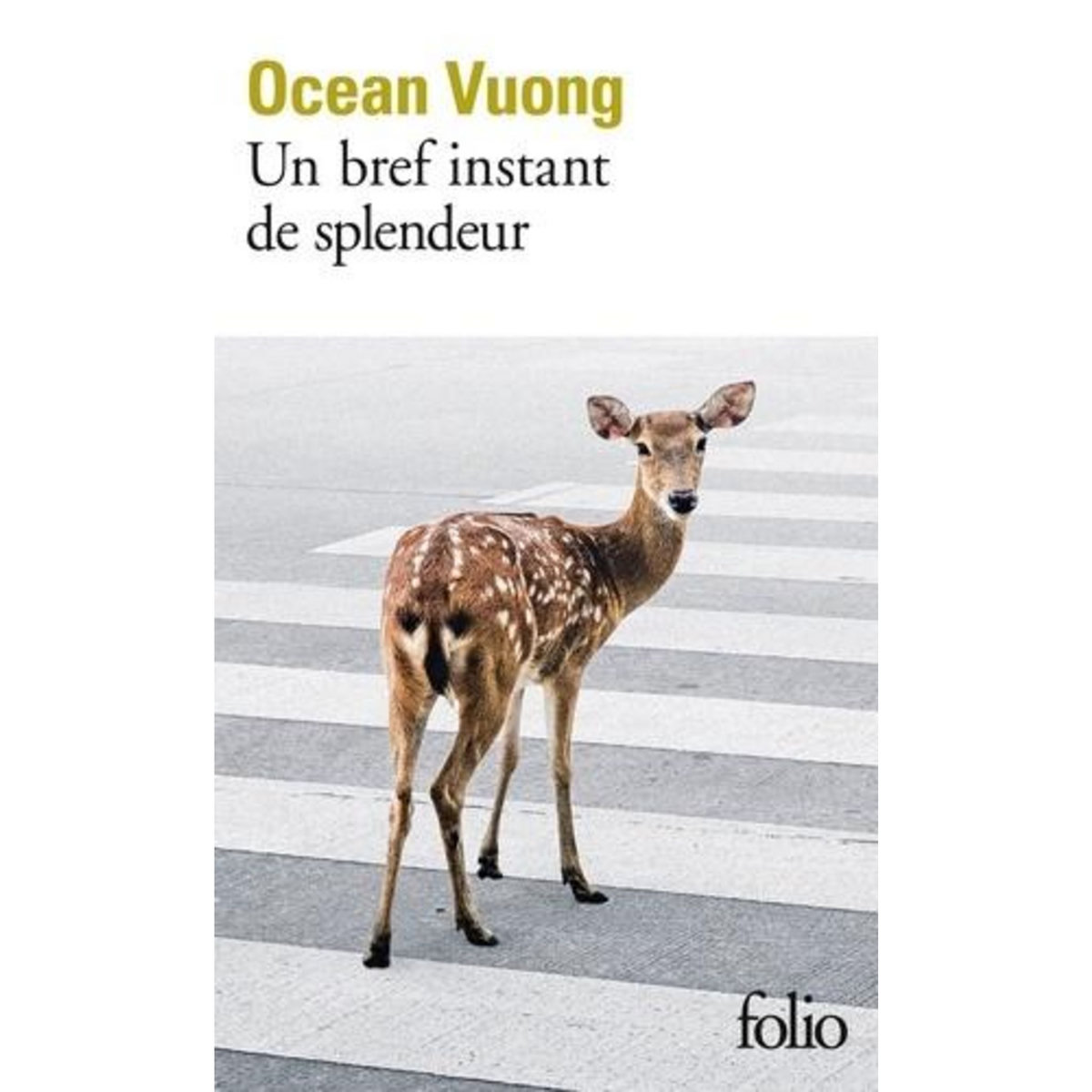 UN BREF INSTANT DE SPLENDEUR, Vuong Ocean