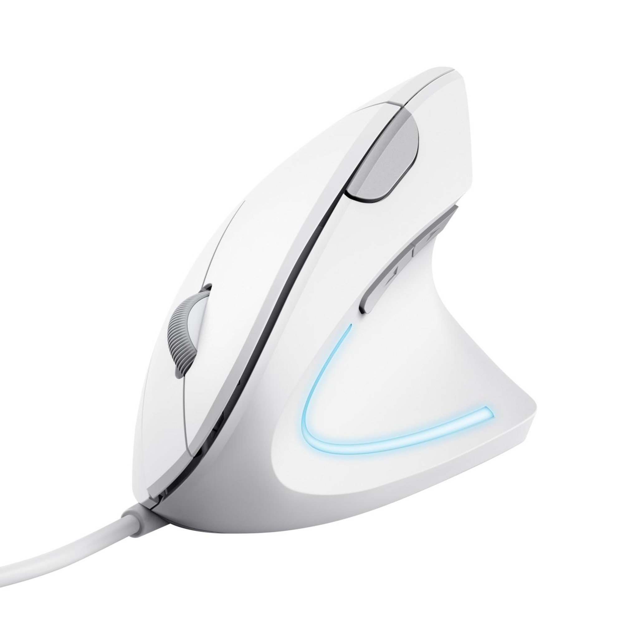 Trust Trust verto souris droitier usb type-a optique 1600 dpi