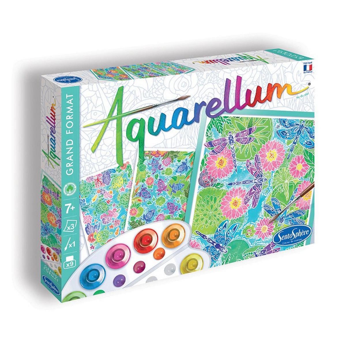 Sentosphere Aquarellum Grand Format - Vu du ciel