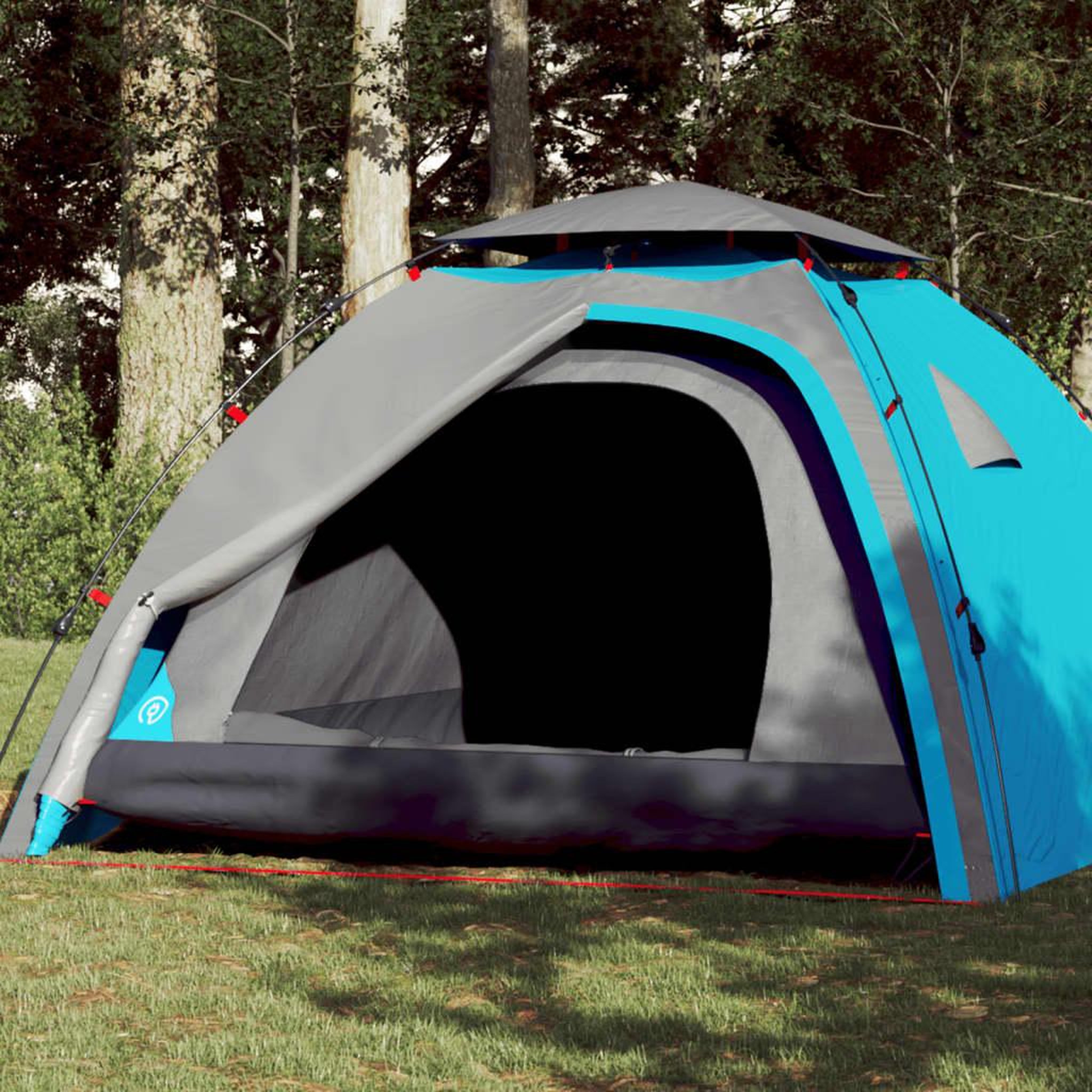 VIDAXL Tente de camping a dome 4 personnes bleu liberation rapide