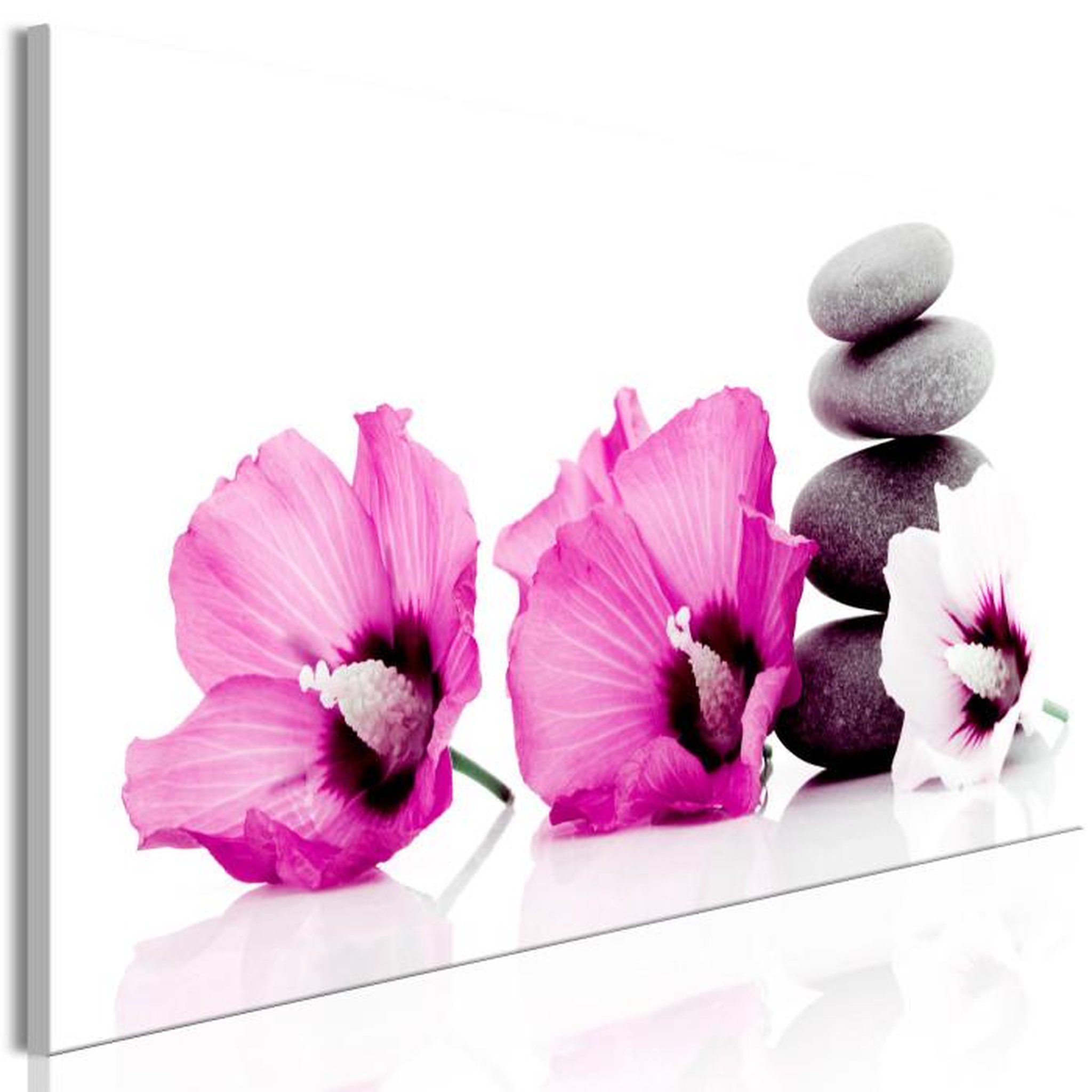 Paris Prix Tableau Imprimé  Calm Mallow Narrow Pink. Coloris disponibles : Multicolore