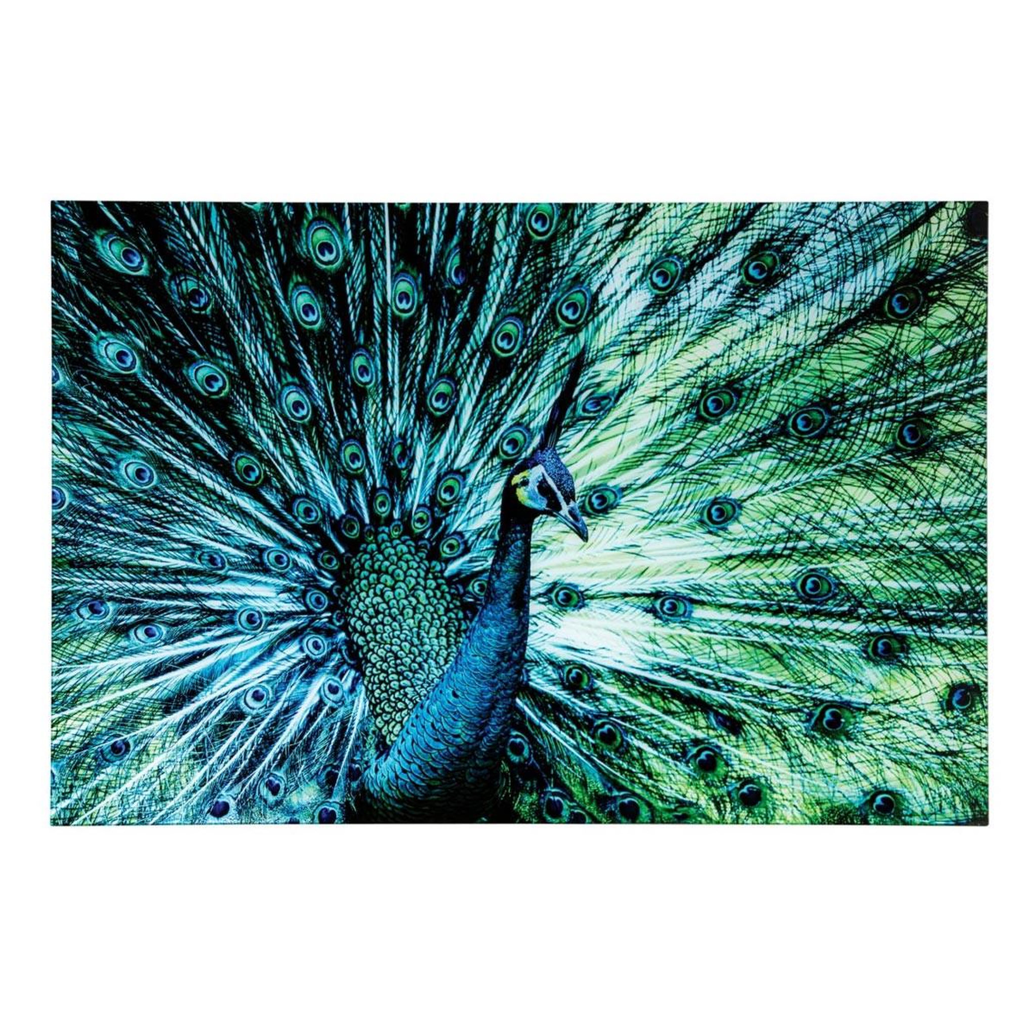 J-LINE Tableau déco en verre  paon  80x120cm bleu
