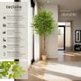 Voir la diapositive 2 : tectake Ficus artificiel design très réaliste vert