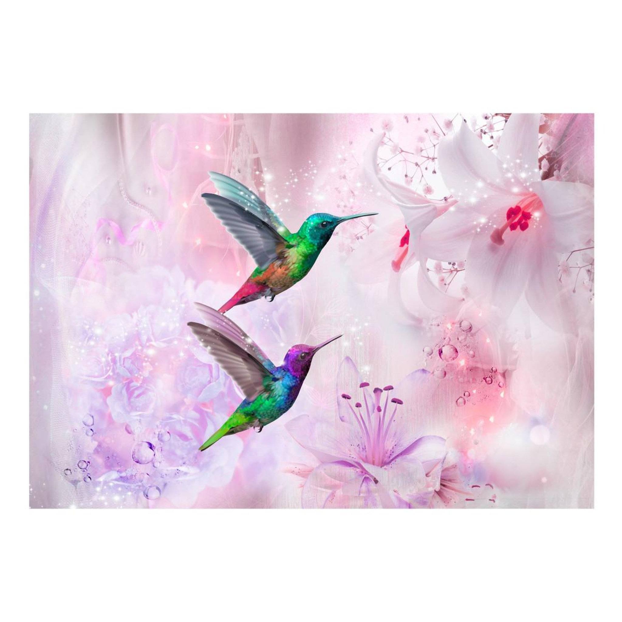 Voir la diapositive 2 : Paris Prix Papier Peint  Colourful Hummingbirds Purple