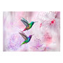Voir la diapositive 2 : Paris Prix Papier Peint  Colourful Hummingbirds Purple