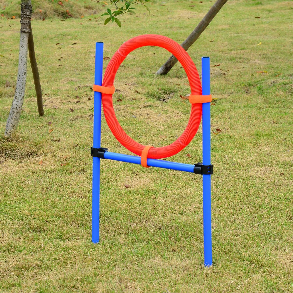 PAWHUT Agility sport pour chiens équipement complet obstacles et entrainement 11 pièces avec sac de transport acier rouge et bleu