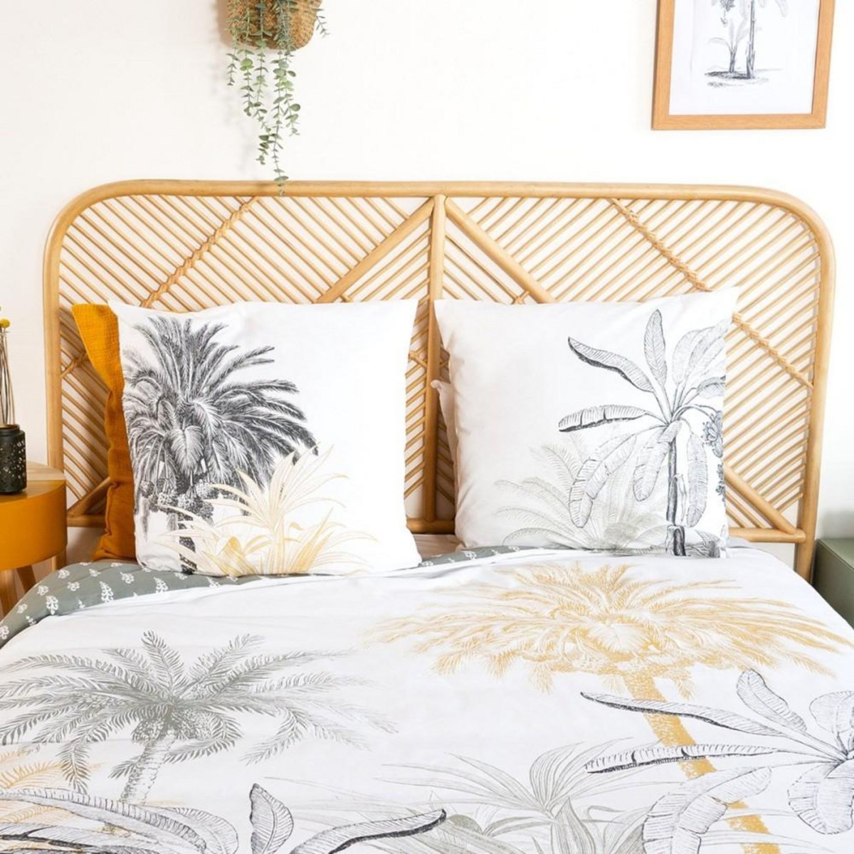 COTE DECO Housse de couette réversible 260x240 SOLI + 2 taies 100% coton adouci 57 fils/cm2