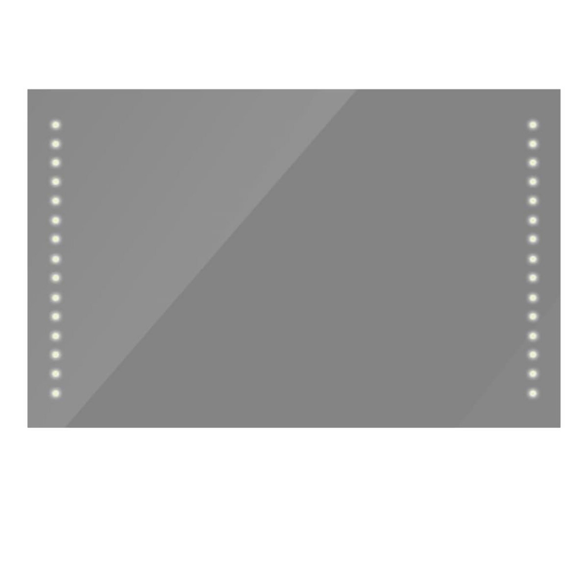 VIDAXL Miroir de salle de bain avec lumieres LED 100 x 60 cm (L x H)