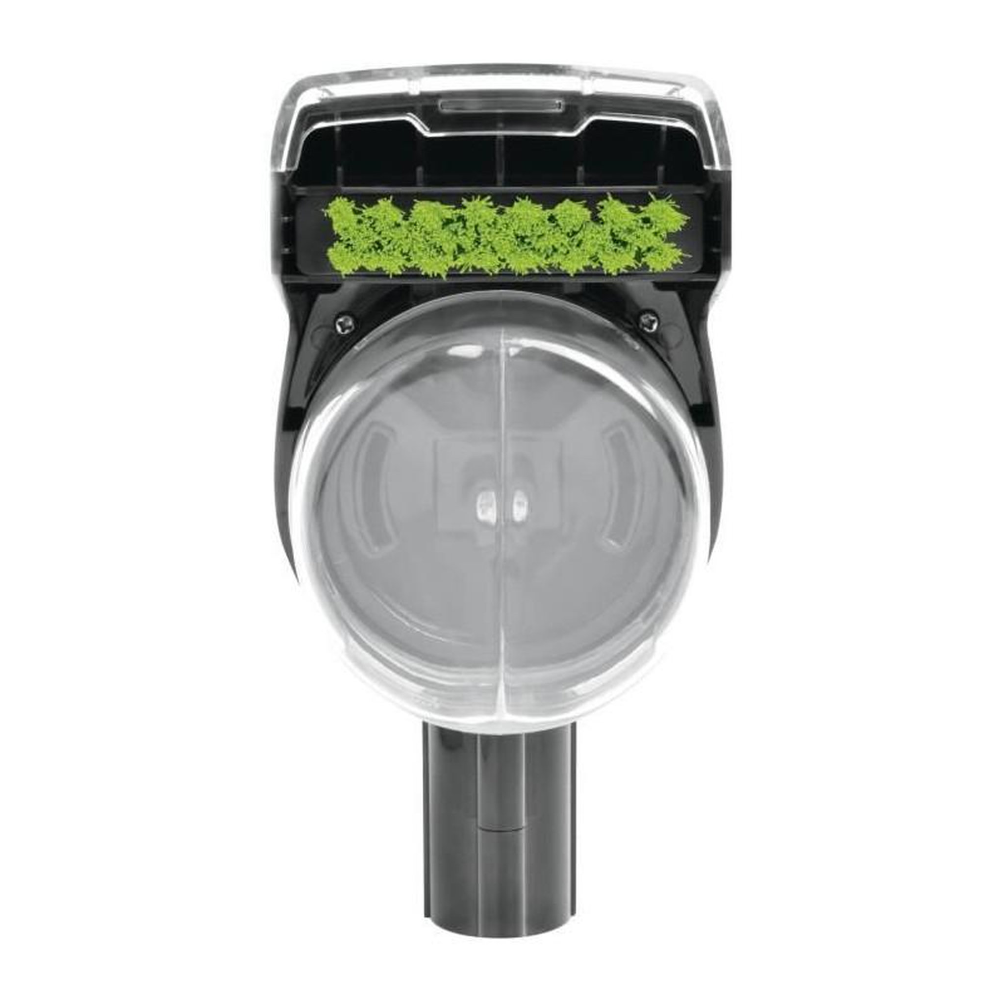 BISSELL BISSELL B2370 - Brosse Spécial Animaux, Adaptée Crosswave, Nettoyage en Profondeur