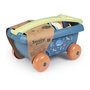 Voir la diapositive 2 : SMOBY Smoby Green chariot de plage garni
