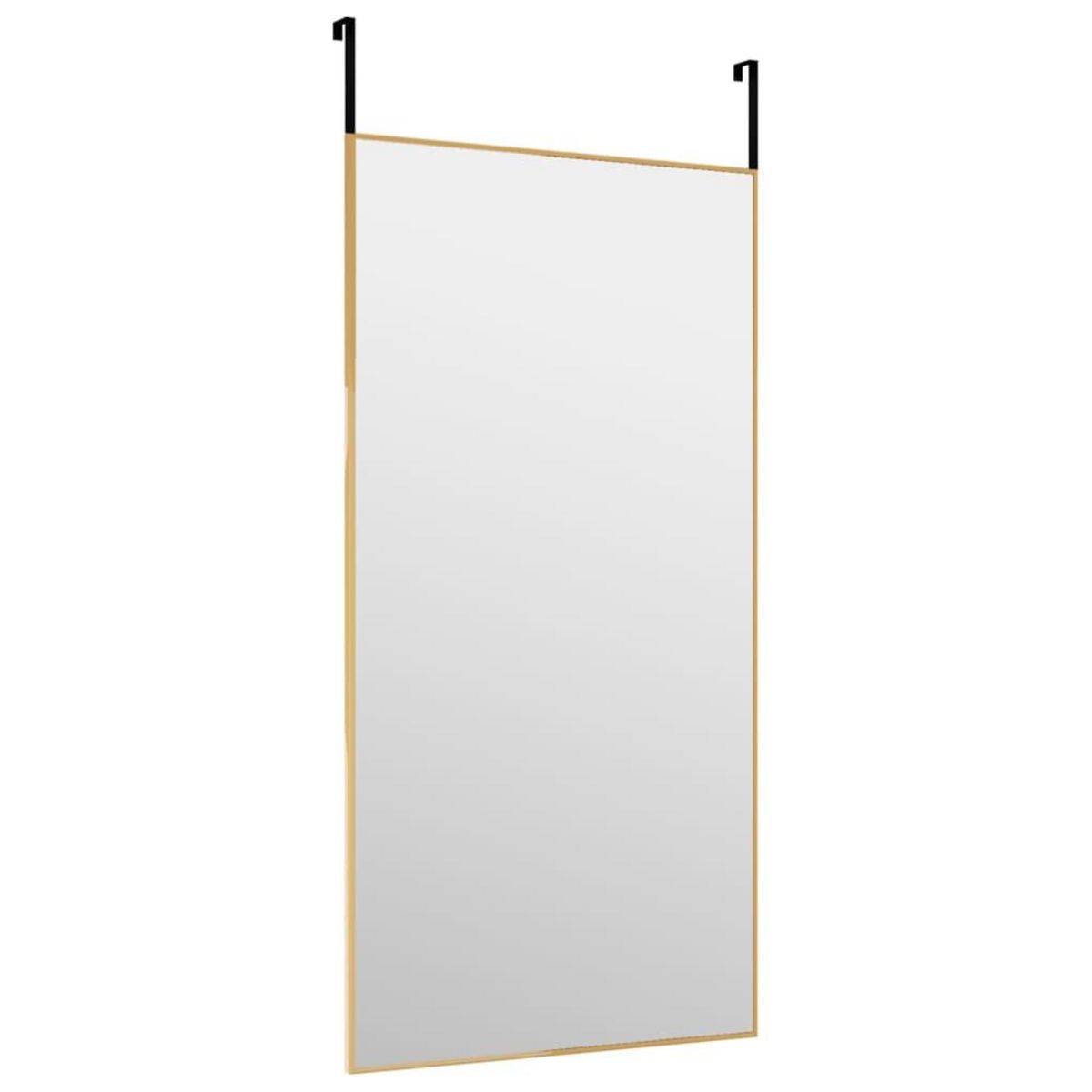 VIDAXL Miroir de porte Dore 40x80 cm Verre et aluminium