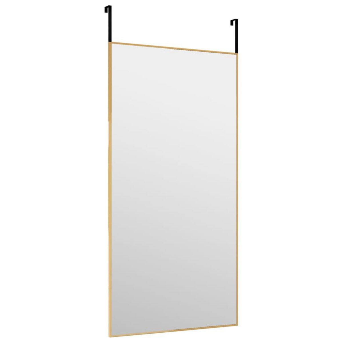 VIDAXL Miroir de porte Dore 40x80 cm Verre et aluminium