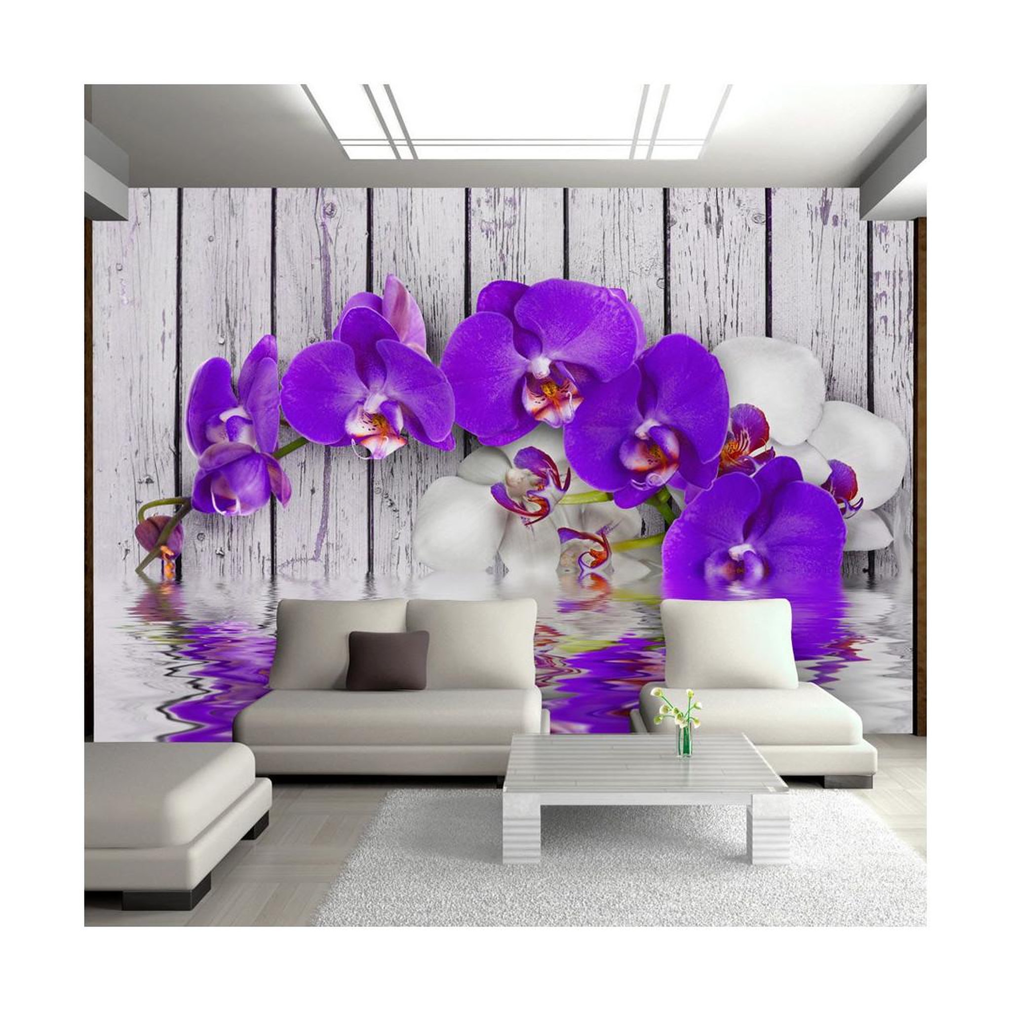 Multicolore