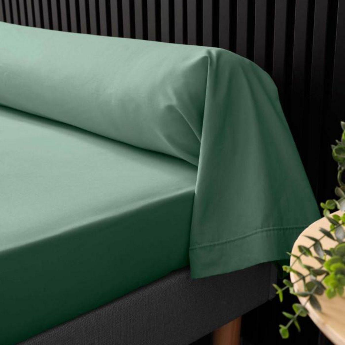 Paris Prix Taie de Traversin  Percaline  85x185cm Tilleul