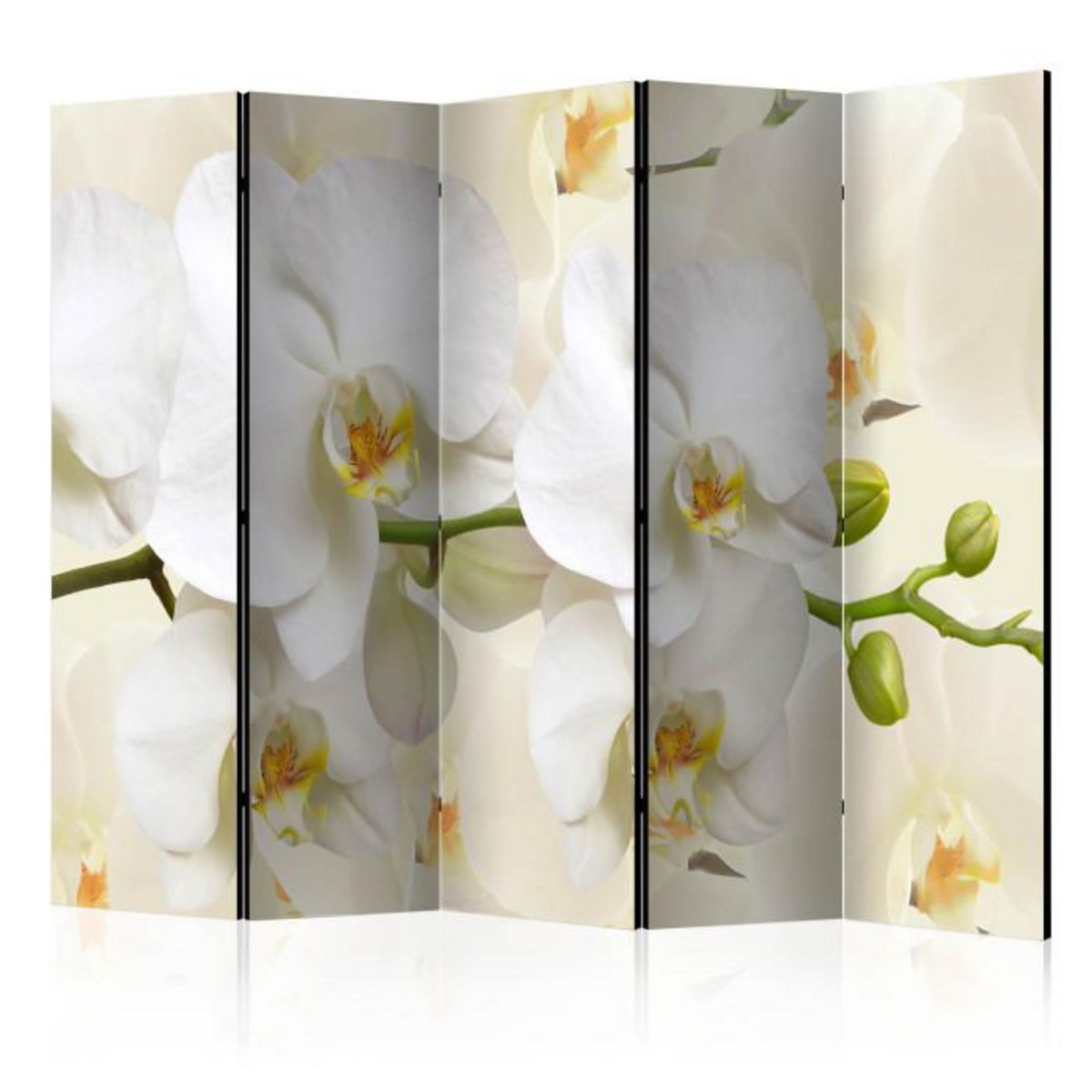Paris Prix Paravent 5 Volets  Orchid Branch  172x225cm