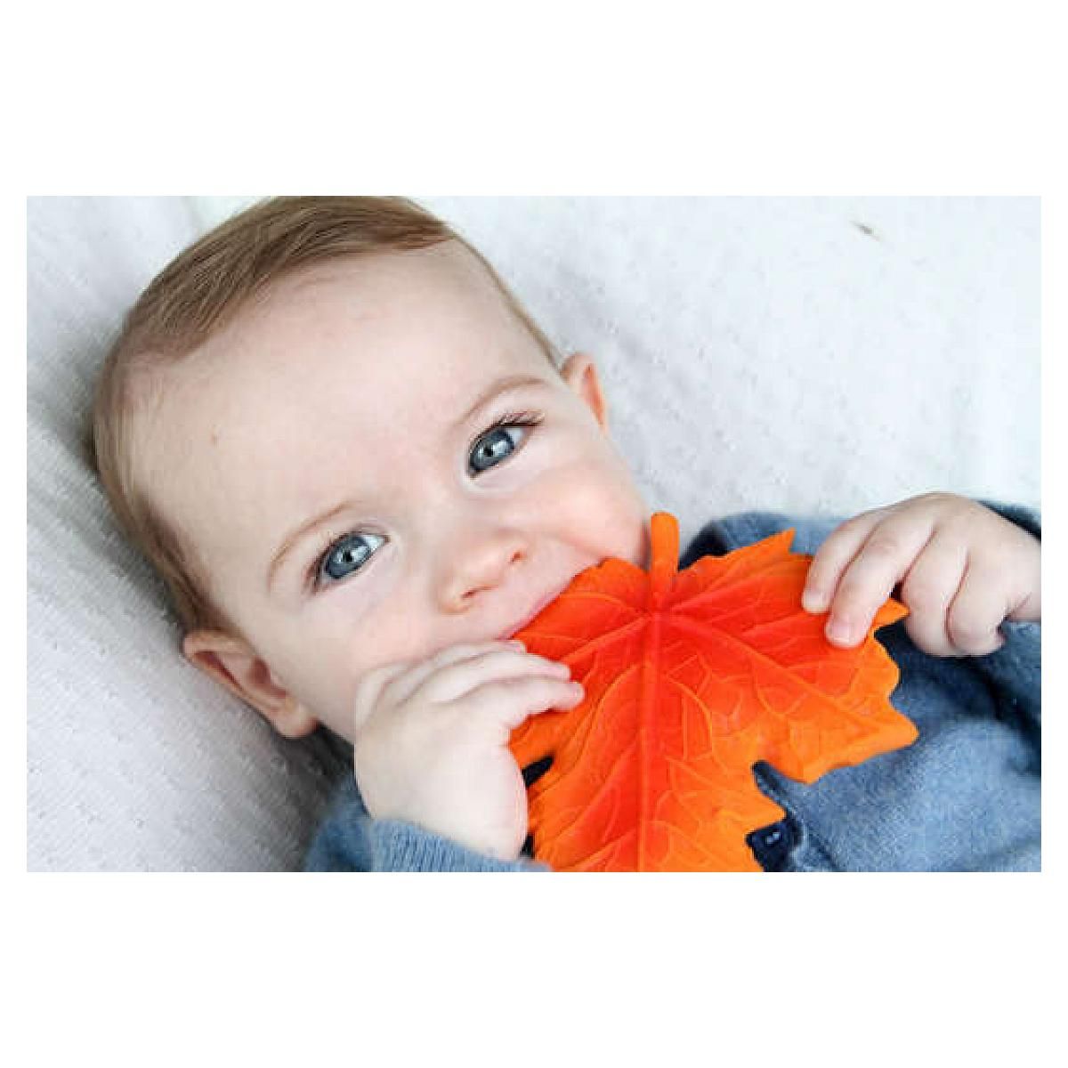 Plan Toys Anneau de dentition - Feuille d'érable