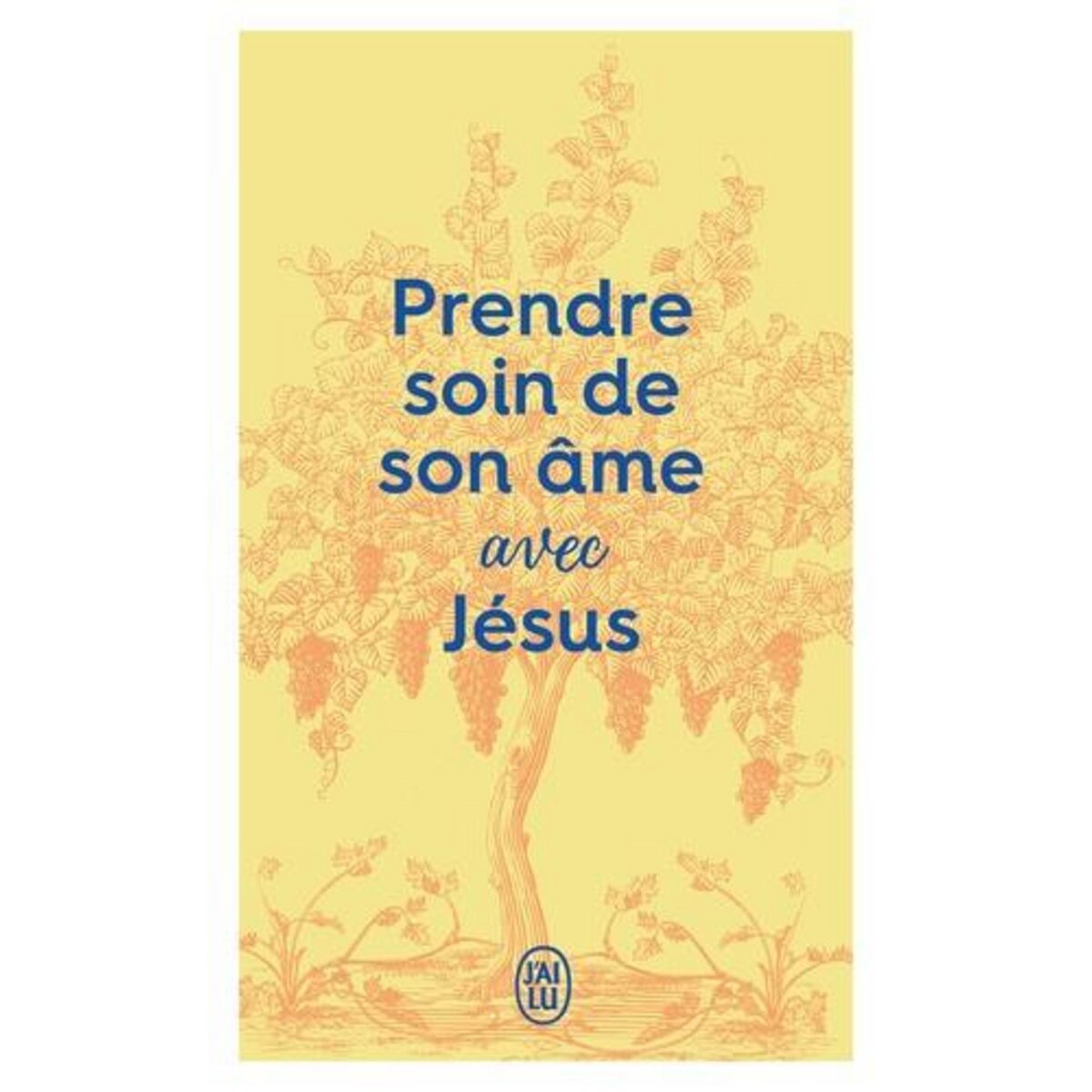 PRENDRE SOIN DE SON AME AVEC JESUS, J'ai lu